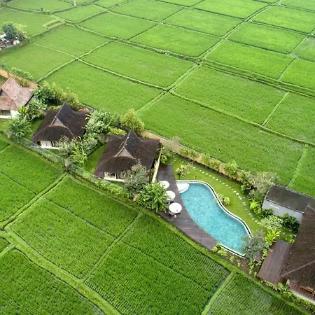 Kabinawa Ubud Villas By Pramana Villas